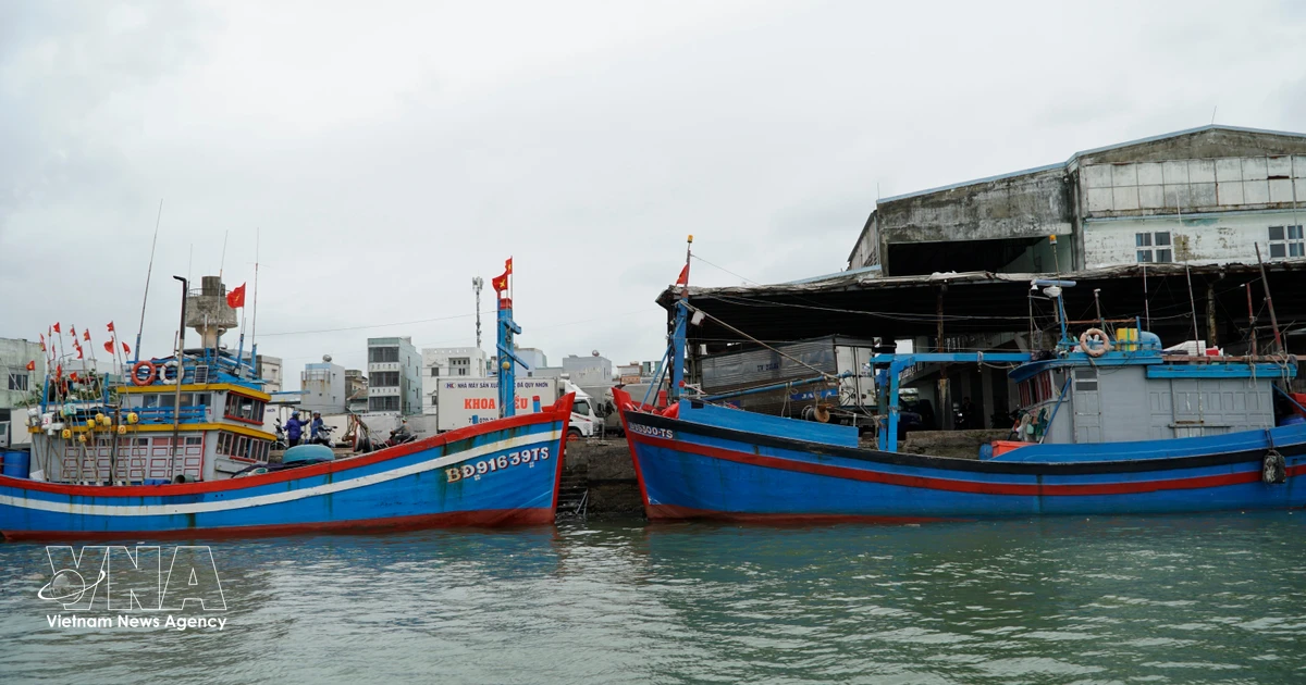 Lam Dong Strengthens Community-Led Models to Combat IUU Fishing