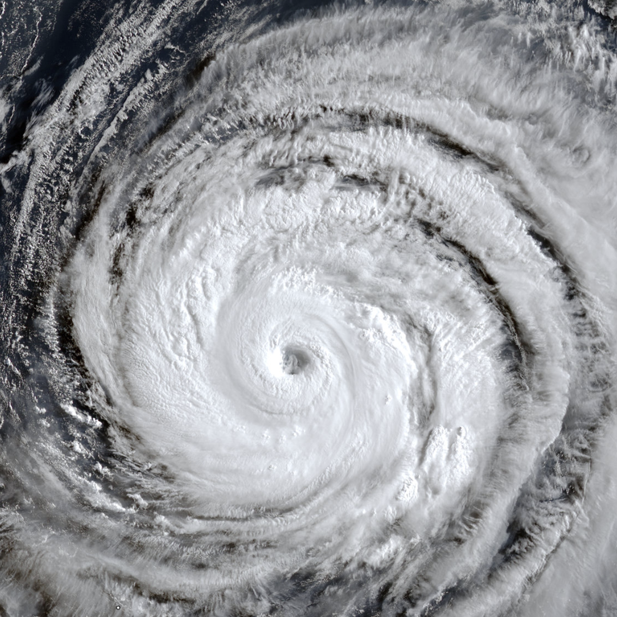 台風ドルフィン、南シナ海に影響か - 8月上旬、台湾北部接近で南西風強まる
