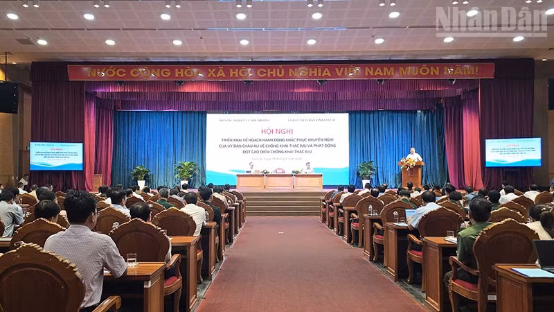 Vietnam Accelerates Fishery Reforms to Lift EU's 'Yellow Card'