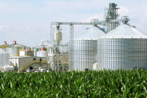 Philippines Explores Diverse Feedstocks for Bioethanol Expansion