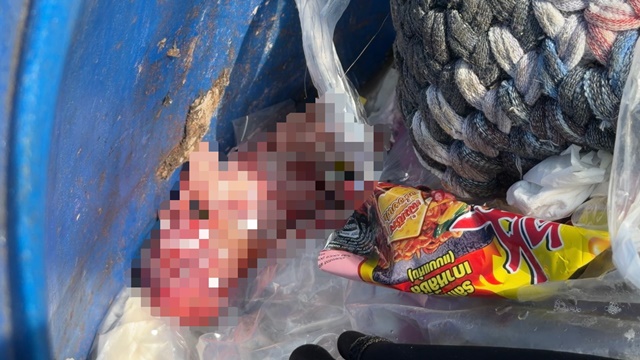 タイのゴミ箱から乳児の遺体、母親の行方追う