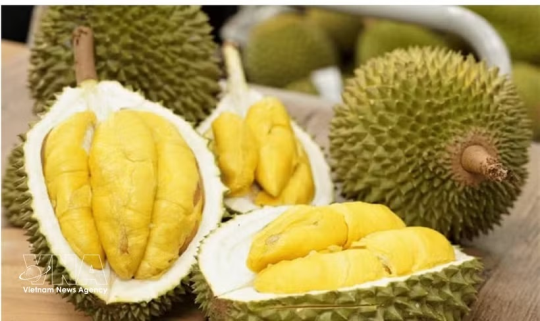 Thailand Steps Up Southern Durian Sales to Stabilize Prices