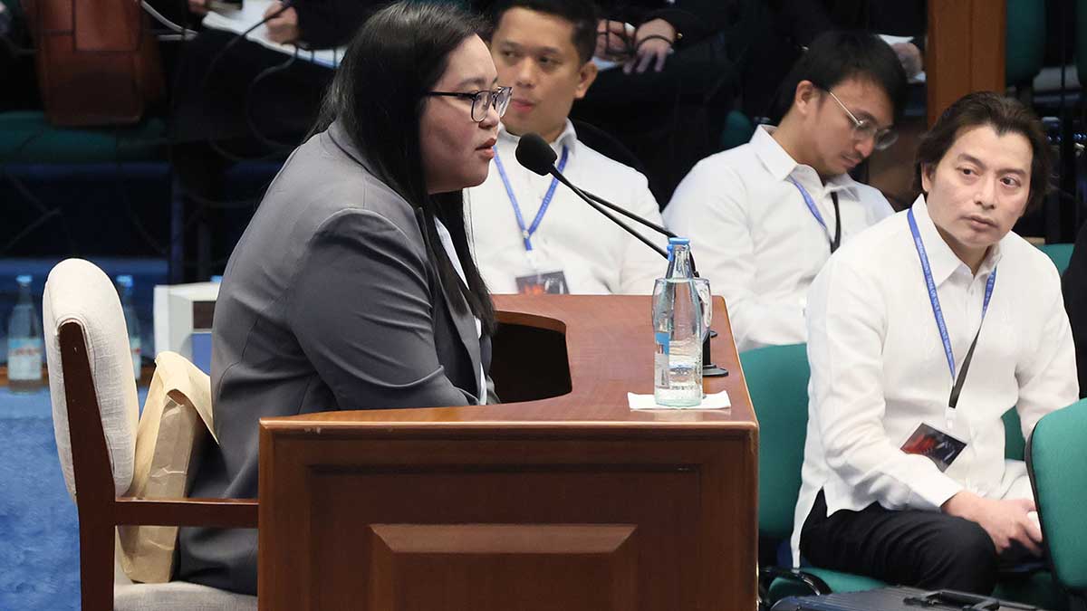 OVP Cites 'Nurturing, Support' Activities for Confidential Fund Use