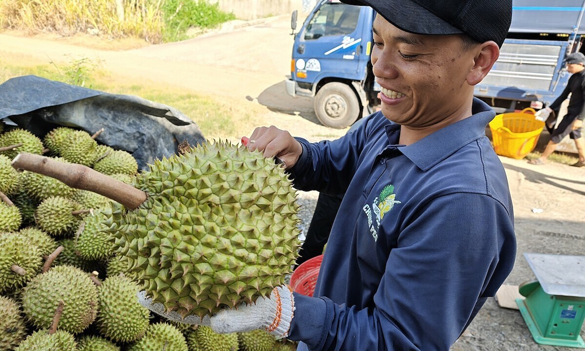 ベトナム、対中野菜・果物輸出でシェア拡大、チリに肉薄