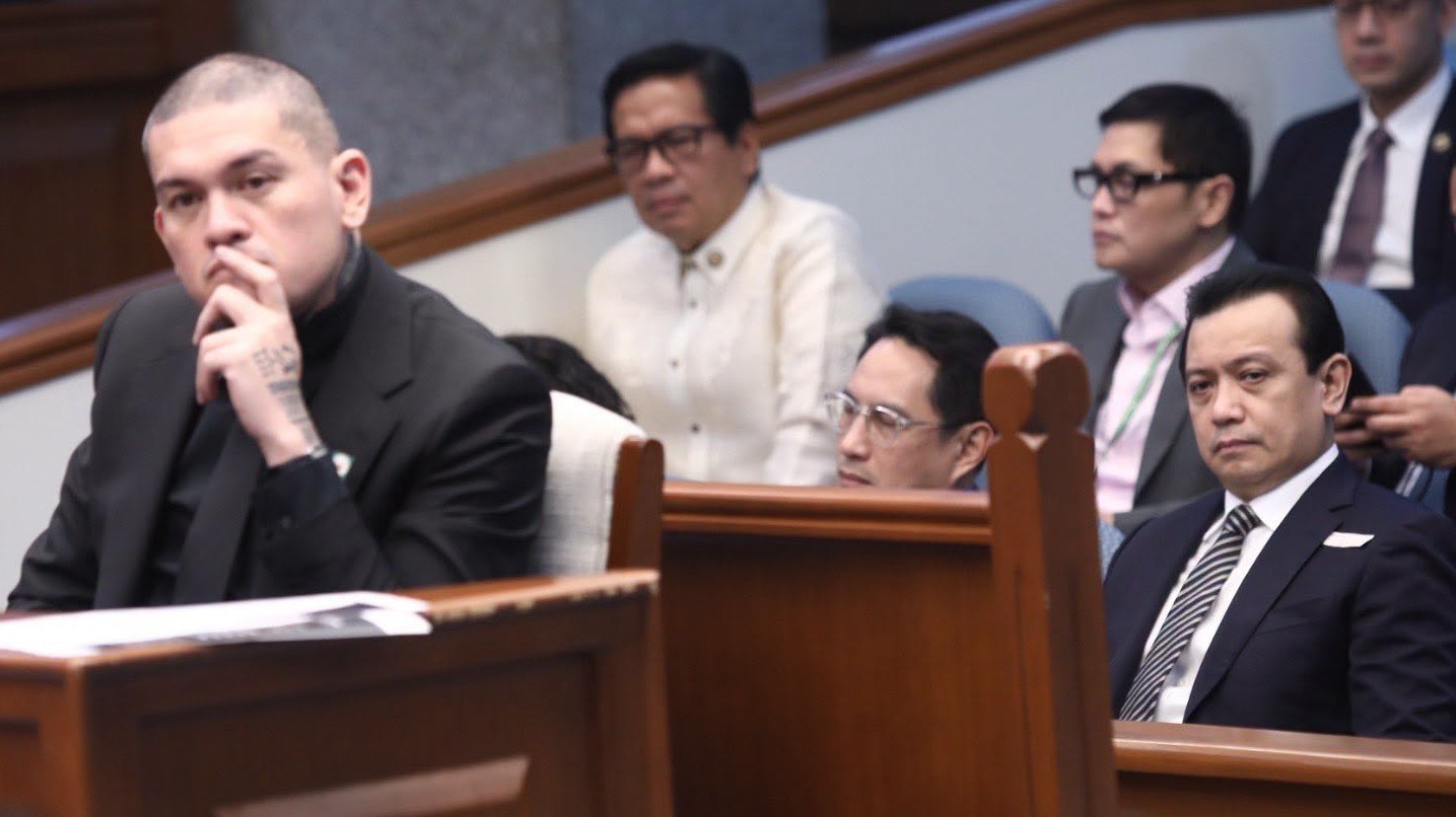 Trillanes Questions Baste Duterte's Remarks on VP Sara's Business Interests