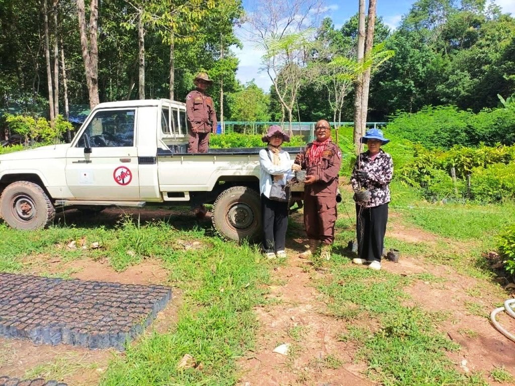 アンコール遺跡群周辺で緑化推進、アプサラ機構が苗木1万2千本超を無償配布
