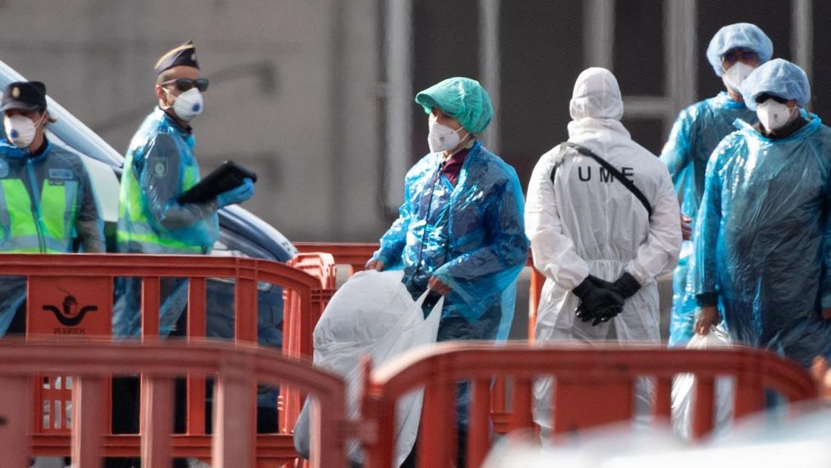 ジャカルタでハンタウイルス感染例を確認、保健当局が衛生管理を呼びかけ