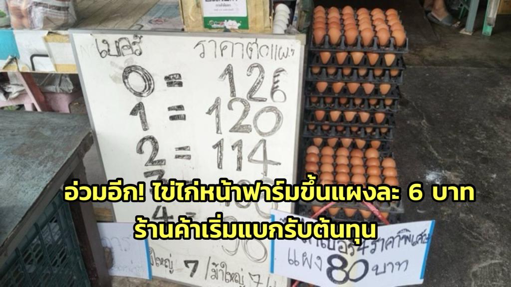またまた困った!農場の鶏卵は1パックあたり6バーツにまで値上がりした。店舗側も費用を負担し始めている。シラチャ生鮮市場は消費者への影響を懸念