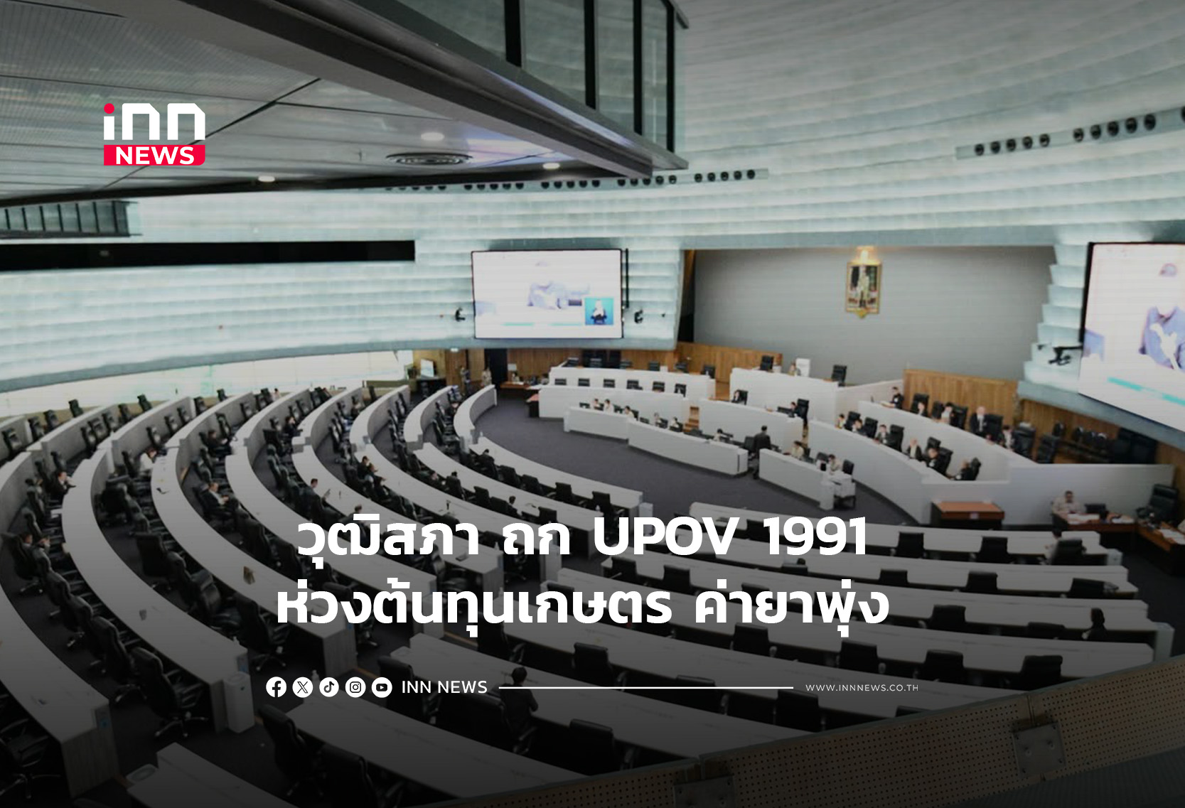 Thai Senate Debates UPOV 1991, Raising Concerns Over Agricultural Costs and Rising Medicine Prices