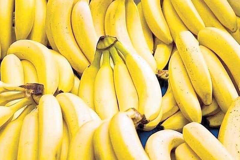 Philippines Expands Agri-Exports to Middle East with First Shipment to Saudi Arabia