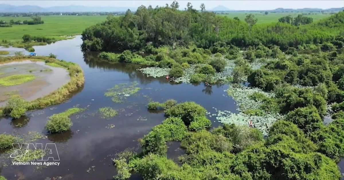 Community Tourism Revitalizes Bau Da Wetland Forest in Vietnam