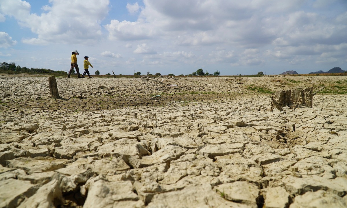 Vietnam Faces Strongest El Niño in 70 Years, Threatening Coffee Output