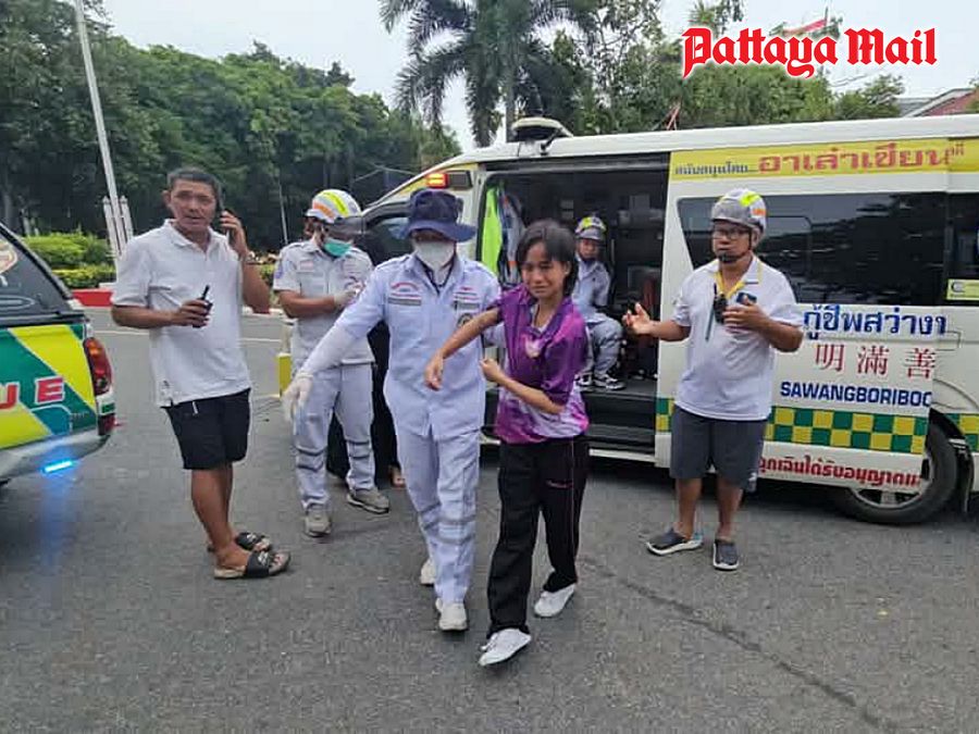 パタヤ市場で巨大ミツバチ襲撃、17人負傷