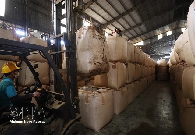 Vietnam's Roasted Coffee Exports to Thailand Surge Amid Premium Demand Shift