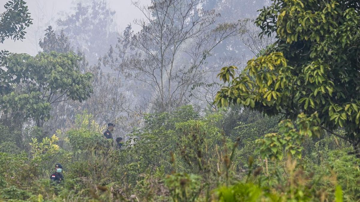 Kalimantan Forest Fires: Four Companies Under Investigation, President Prabowo Orders Strict Action