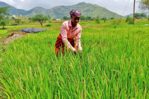 Philippines Considers Expanding Food Security Project
