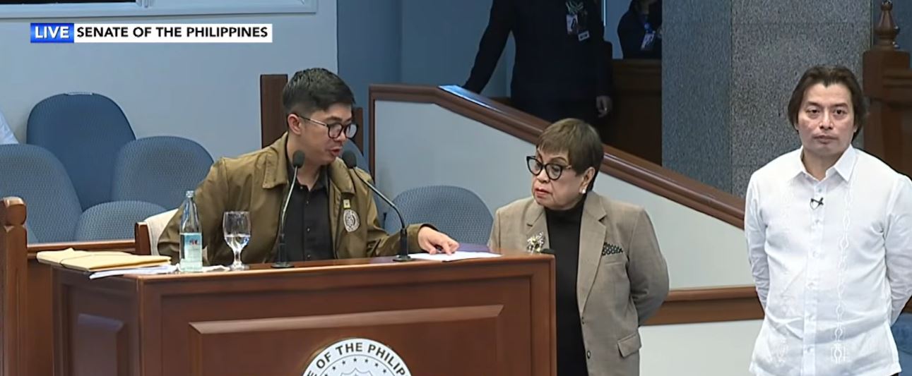 P200M Confidential Funds of OVP, DepEd Lacked Documents, Ex-Auditor Testifies