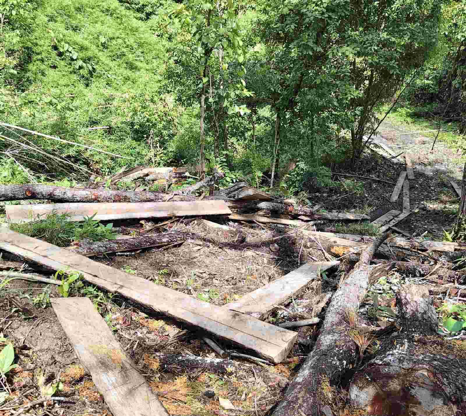 In Myit-kyina, Authorities Did Not Visit the Site of Illegal Logging by Village Clerk, Locals Say It Was Just a Show of Investigation
