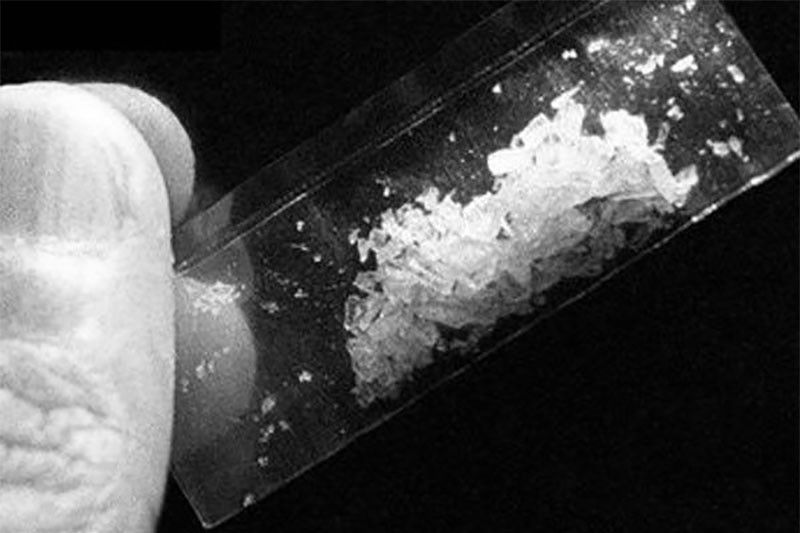 違法薬物密輸の女性に終身刑、フィリピン