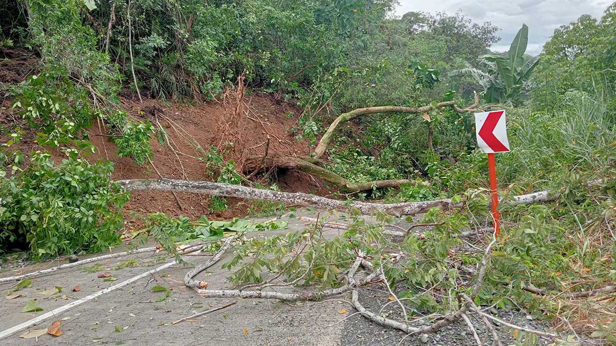 Landslide Cuts Off Major Road Link Between Bukidnon and Davao