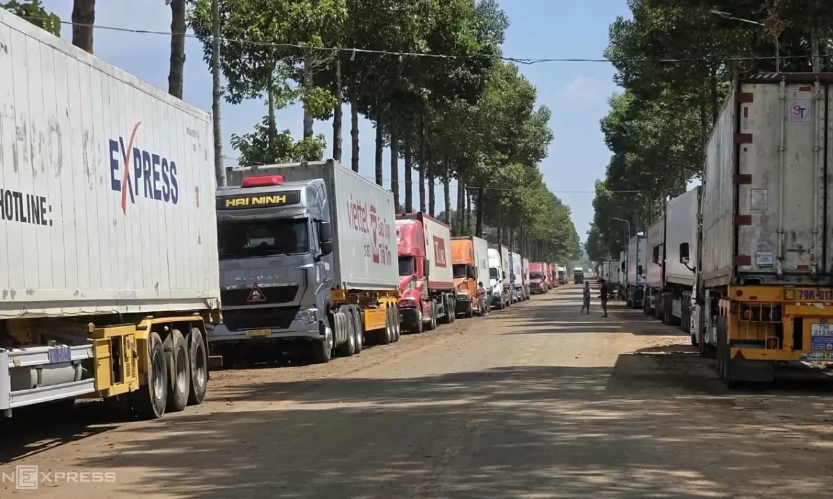 Vietnam's Durian Export Bottleneck: Testing Delays Trigger Congestion and Price Drops
