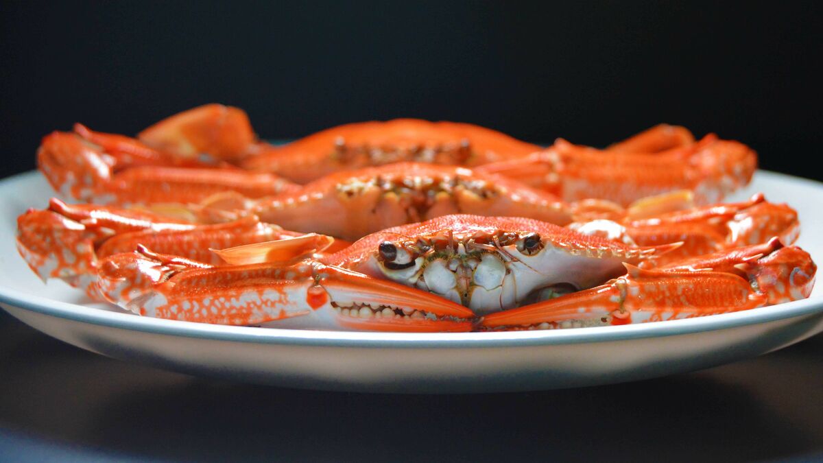 Vietnamese Crabs Gain Dominance in US Market with 74% Export Surge