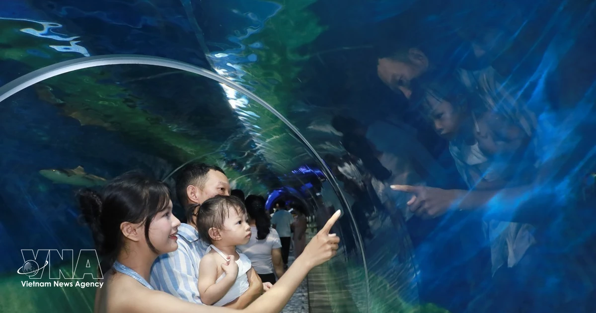Vietnam Reimagines Tourism with Cultural and Experiential Offerings