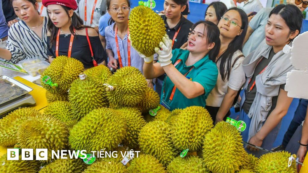 Can Vietnamese Durian Catch Up with Thailand in the Chinese Market?