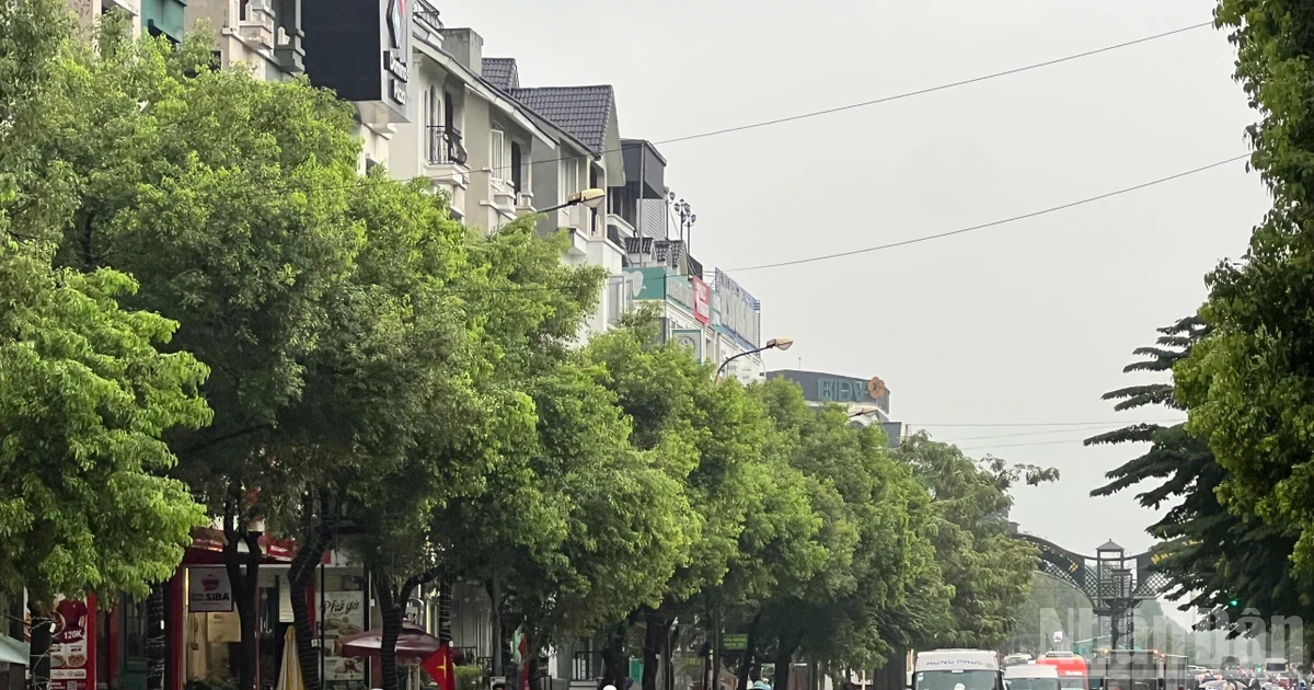 ハノイ、台風豪雨で浸水道路の交通規制を実施