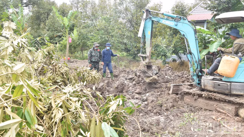 Dong Thap Province Collects 71 Sets of Remains from Durian Orchard