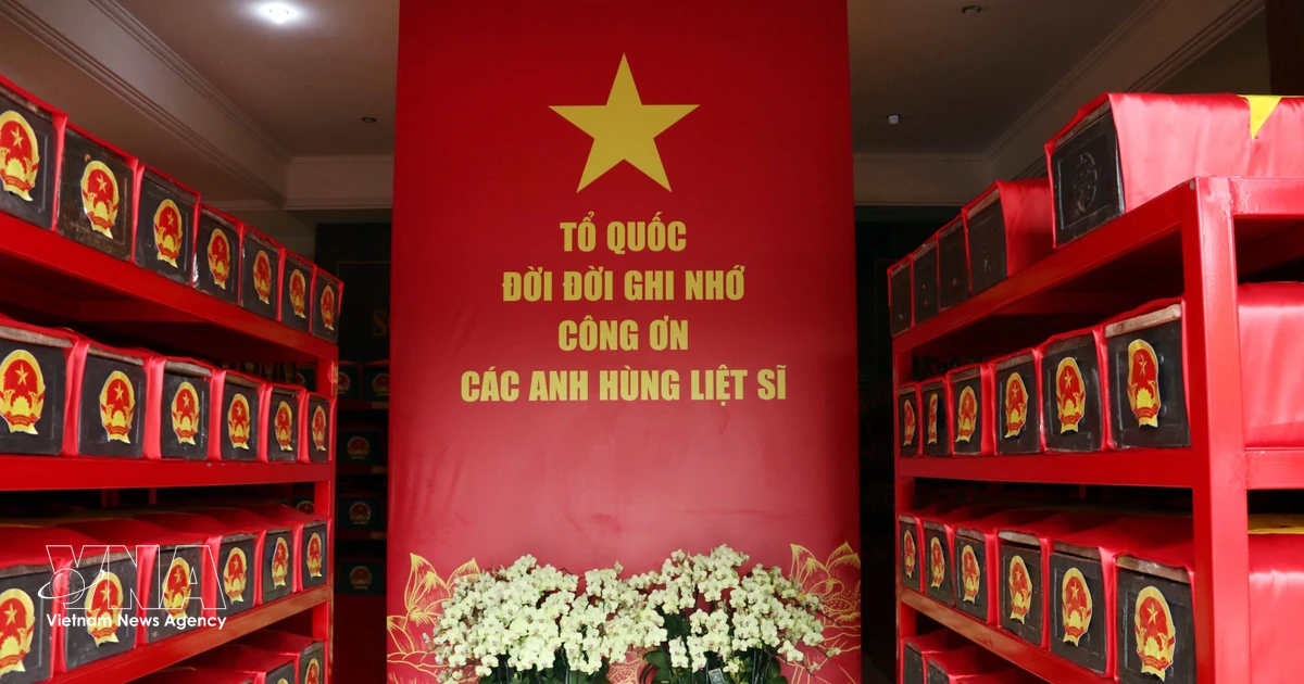 Vietnam's 500-Day Campaign: 664 Sets of War Martyrs' Remains Found