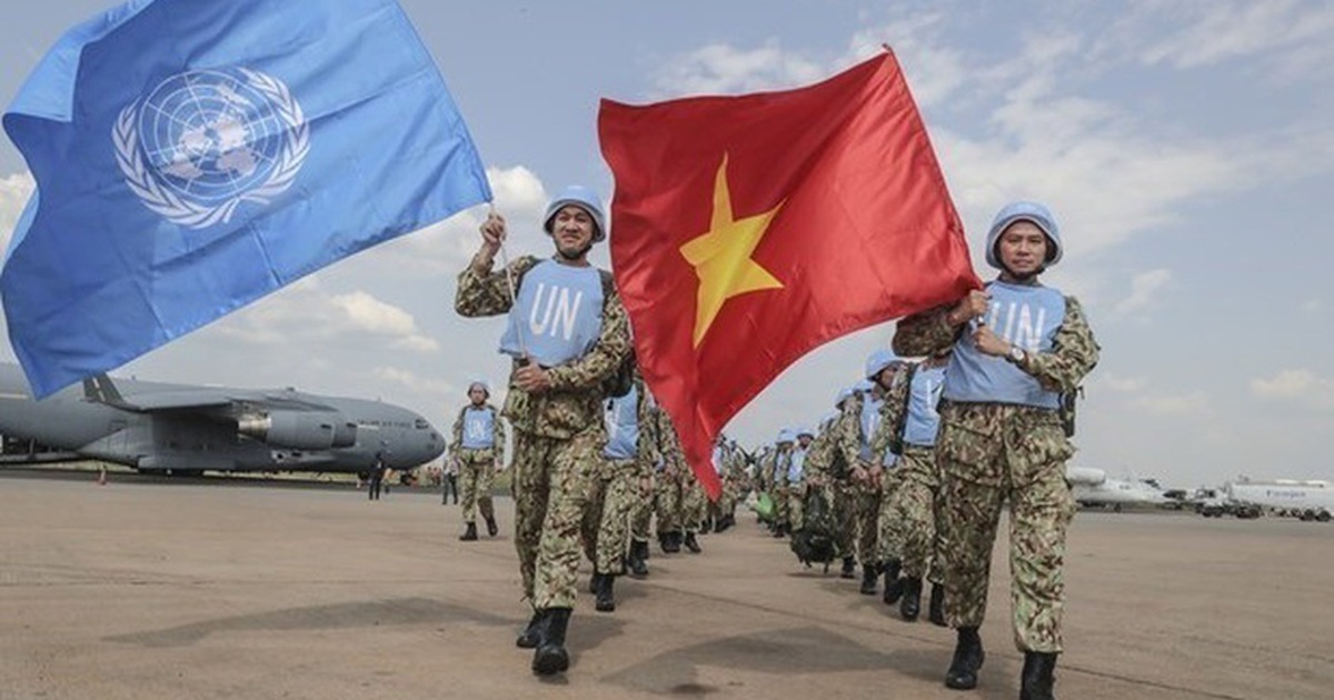 Vietnam Nears 50 Years in UN: Accelerating Contributions to Peace, Development, and Global Challenges