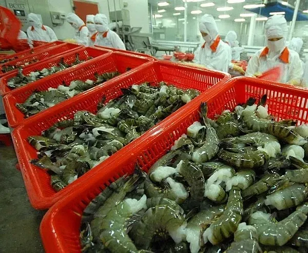 米国、ベトナム産エビに対するアンチダンピング関税の予備的結論を発表