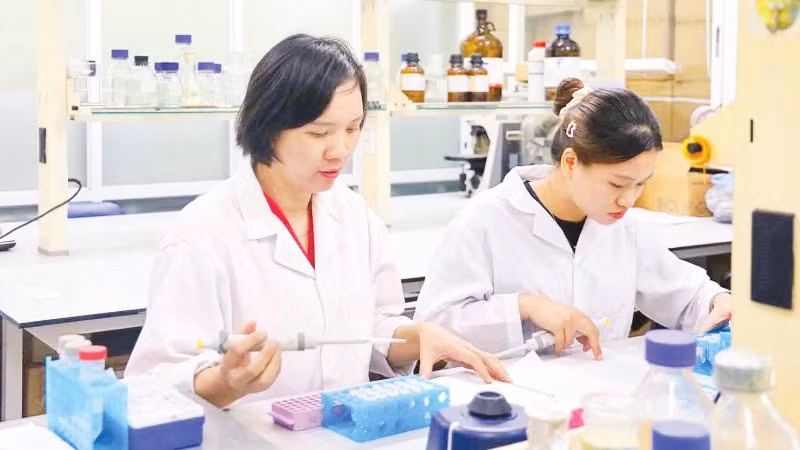 ベトナム、緑豆由来ナノ素材で糖尿病治療薬開発へ