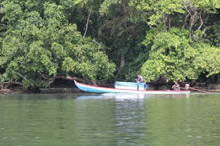 Indonesian Biodiversity Strategy Questioned by Civil Coalitions Ahead of COP17