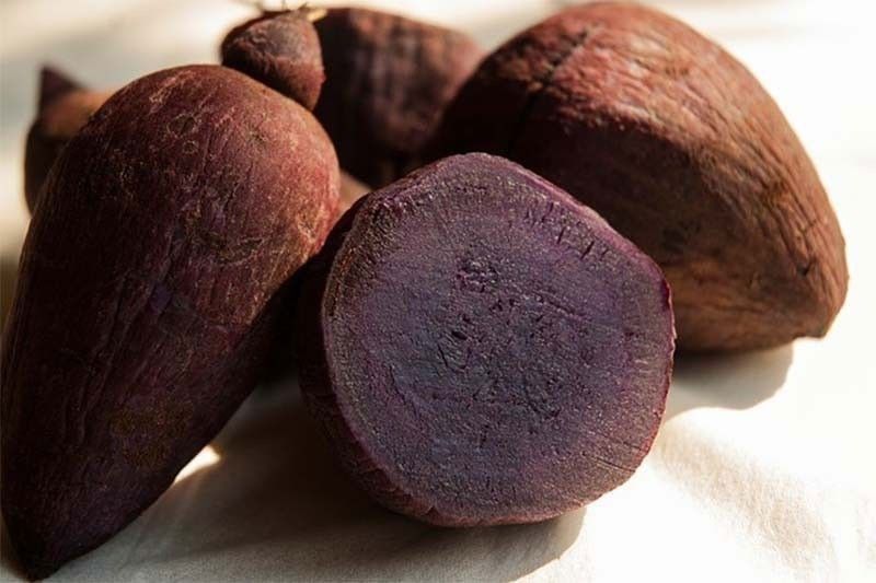 Philippines Doesn't Import Fresh Ube, Agriculture Dept. Unit Clarifies