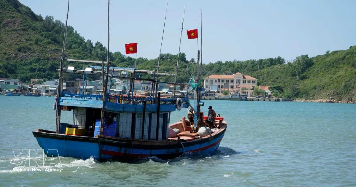 Gia Lai Steps Up Fight Against IUU Fishing Through Stricter Enforcement, Awareness
