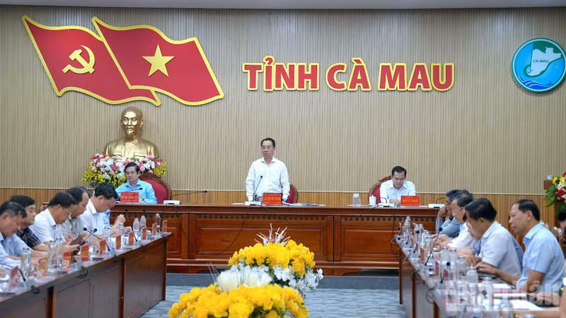 Ca Mau Accelerates Progress Towards 2026 Goals, Eyeing Double-Digit Growth and Investment
