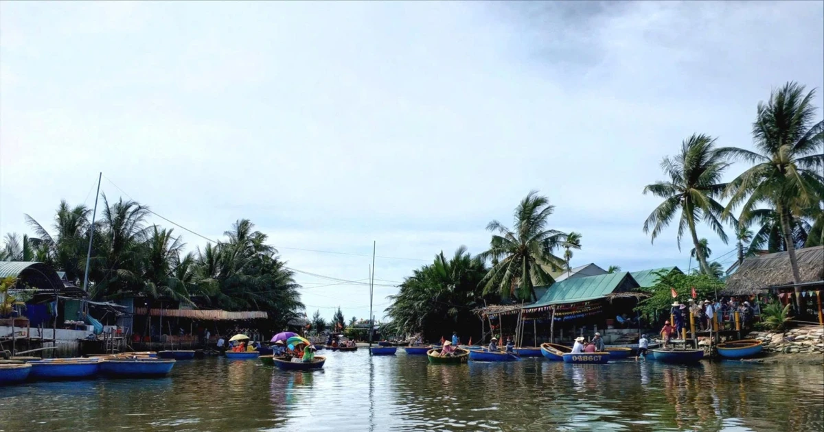 Vietnam Focuses on Conserving and Leveraging Wetland Ecosystems