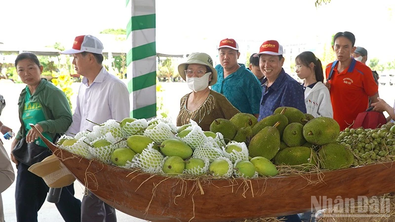 Dong Thap Fruit Festival: Damaged Displays Repaired, Preventive Measures Implemented