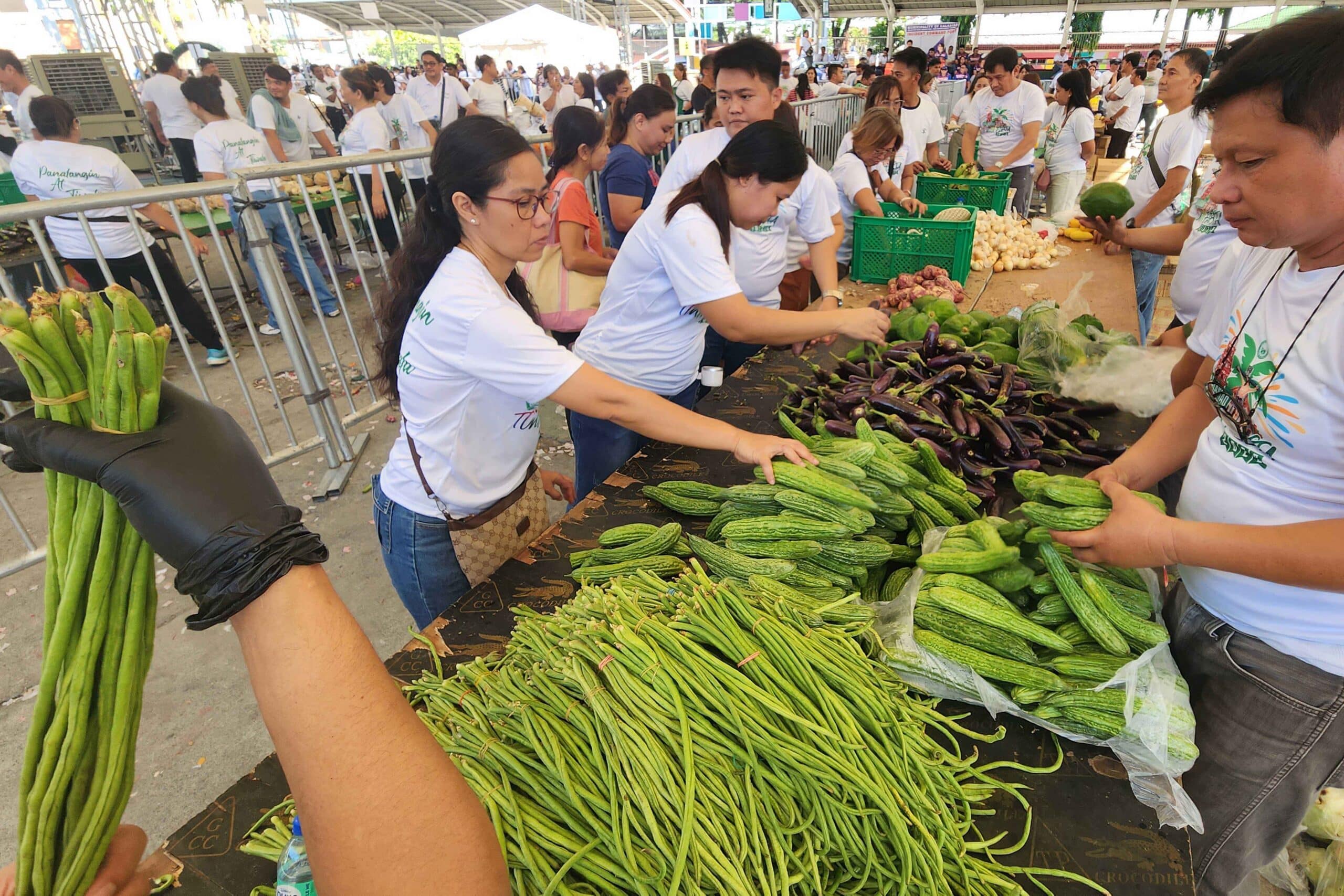 PH needs 10 to 12 mega food hubs to boost food distribution – DA