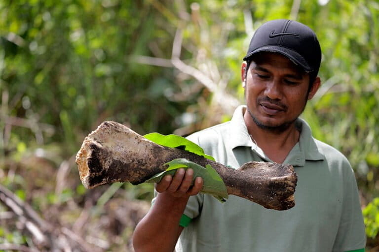 Indonesia's Wildlife Conflict: The Limits of Ad-Hoc Solutions