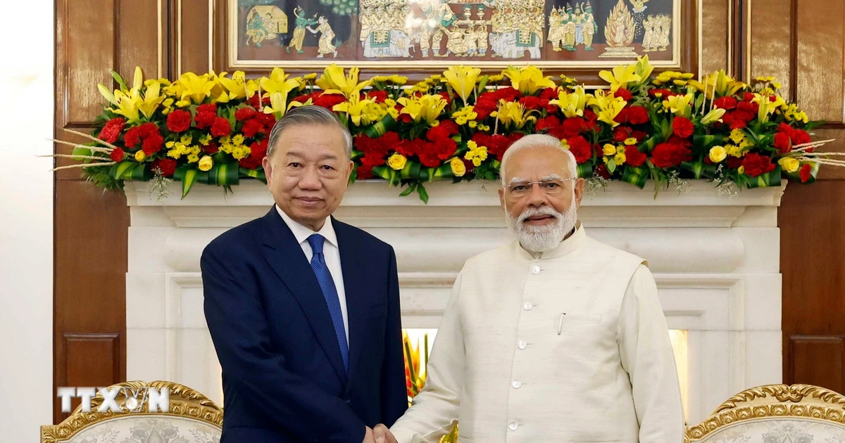 ベトナムとインドの関係、強固な発展軌道へ向かう二国間協力