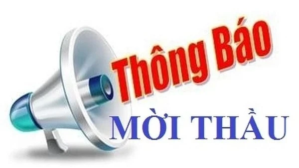 Northern Vietnam Coal Company Cancels 2026 Import Tender Due to Non-compliant Bids