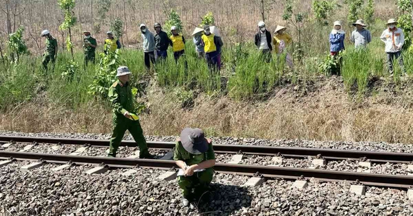 ベトナムで鉄道作業員が貨物列車に轢かれ死亡、労働安全への懸念浮上