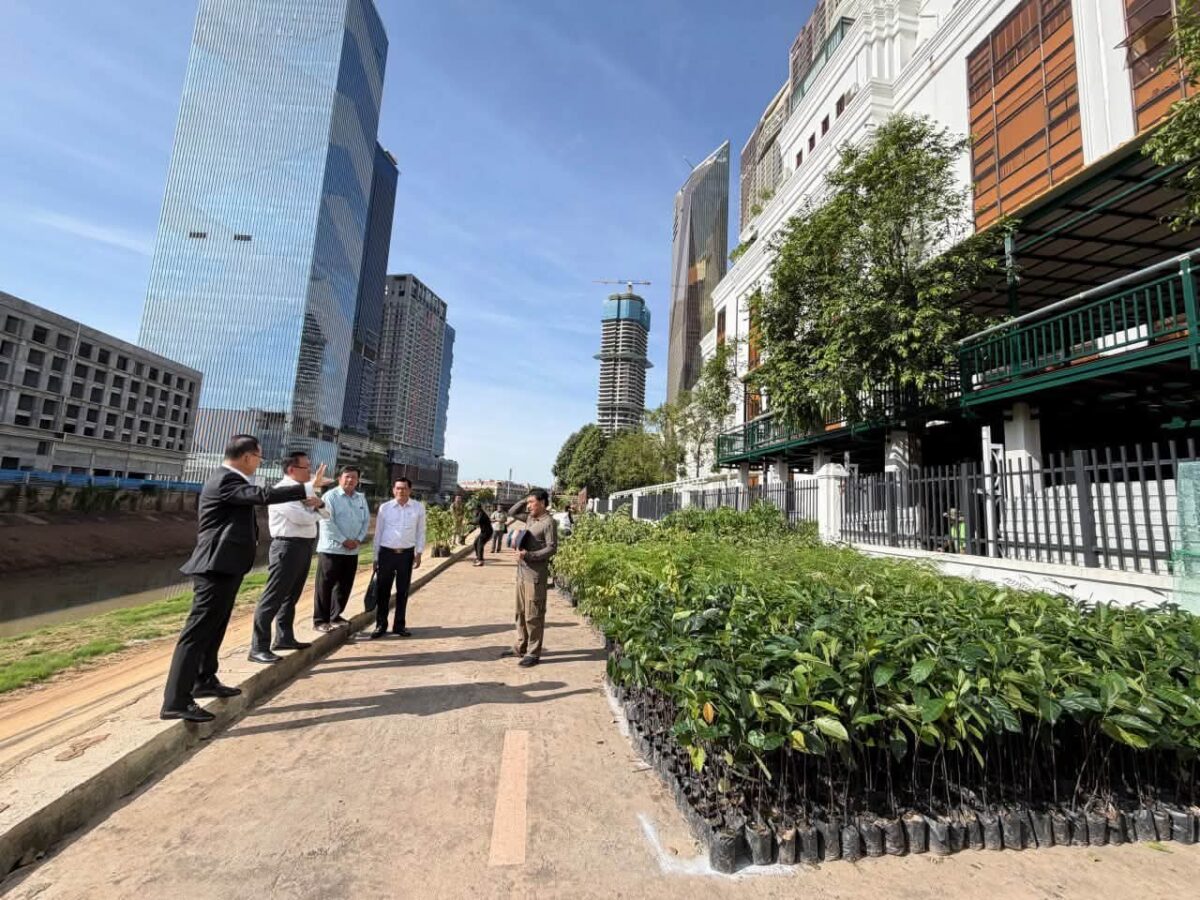 無料の木:明日から植樹祭で500万本の苗木がカンボジア全土に無料配布される