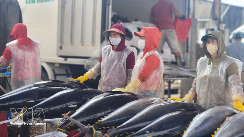 ベトナム産カニ、米国市場での地位維持に新たな一歩