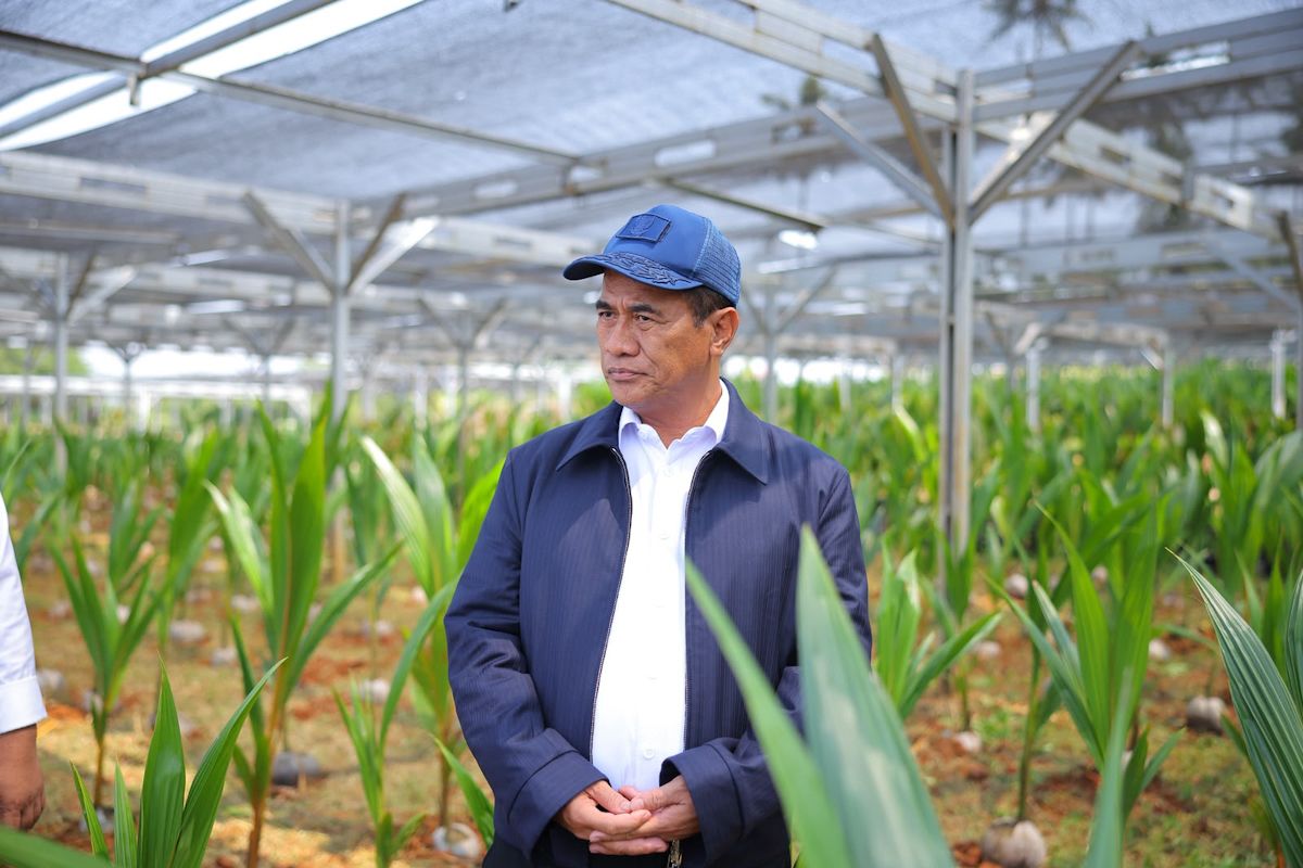Indonesian Govt Offers Free Seeds for 870,000 Hectares of Plantations
