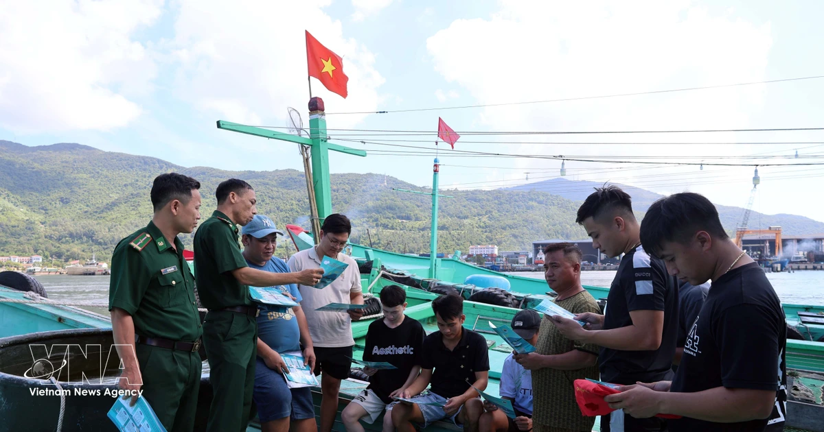 Fishermen’s Associations Drive Efforts to Lift EU’s IUU ‘Yellow Card’
