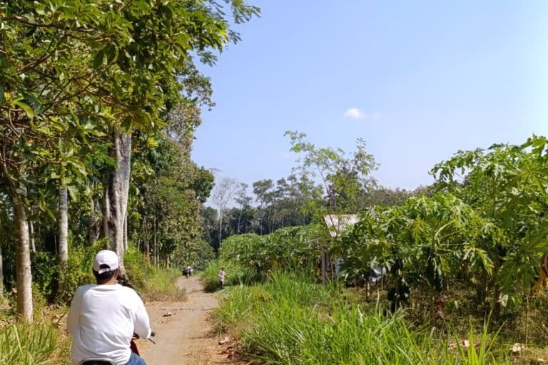 Jember Farmers Oppose Ministry of Defense Batalyon Construction in Social Forestry Area